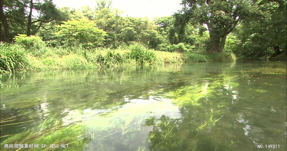 急流与河流涓涓流水水草