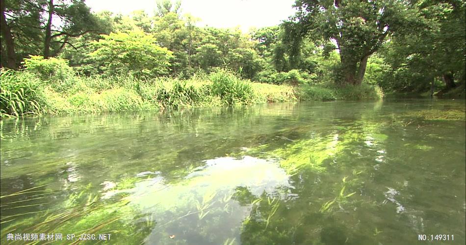 急流与河流涓涓流水水草