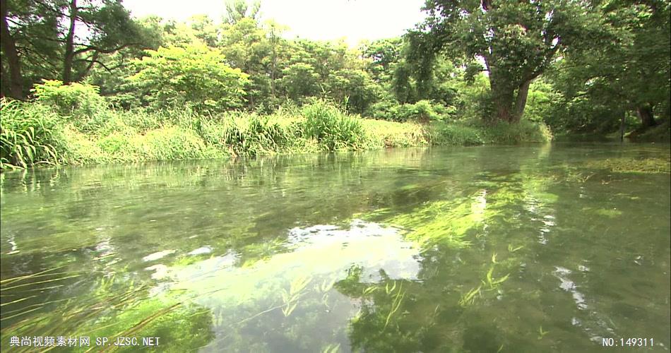 急流与河流涓涓流水水草