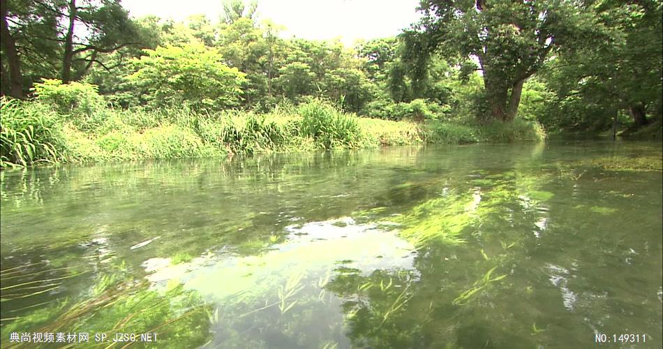 急流与河流涓涓流水水草