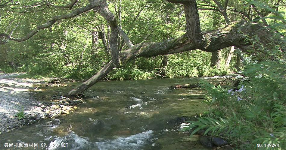 急流与河流组急流与河流山间小溪