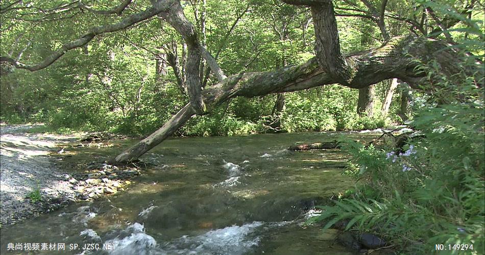 急流与河流组急流与河流山间小溪