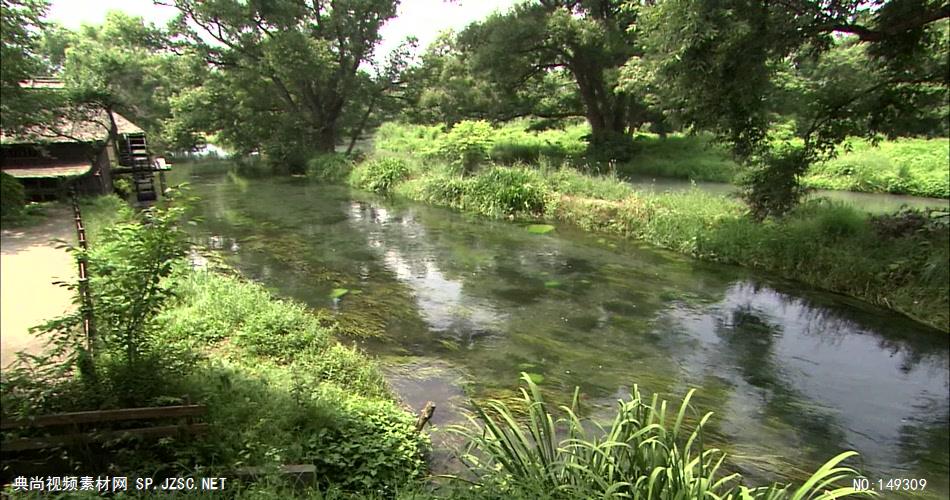 急流与河流绿色森林涓涓流水