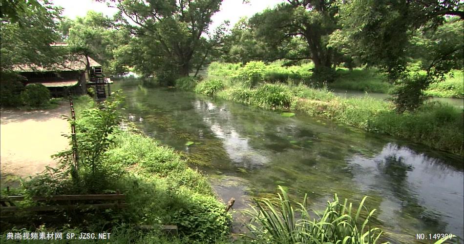 急流与河流绿色森林涓涓流水