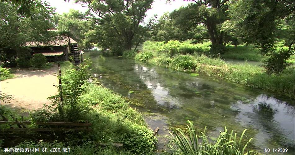 急流与河流绿色森林涓涓流水