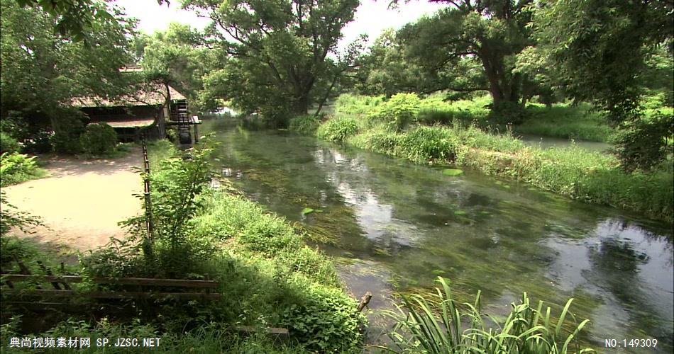 急流与河流绿色森林涓涓流水