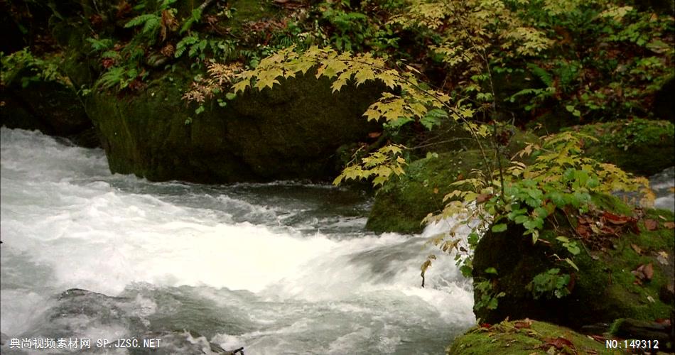 急流与河流涓涓流水山间小溪