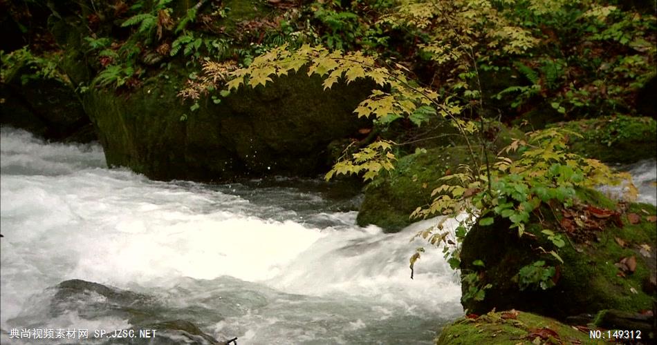 急流与河流涓涓流水山间小溪