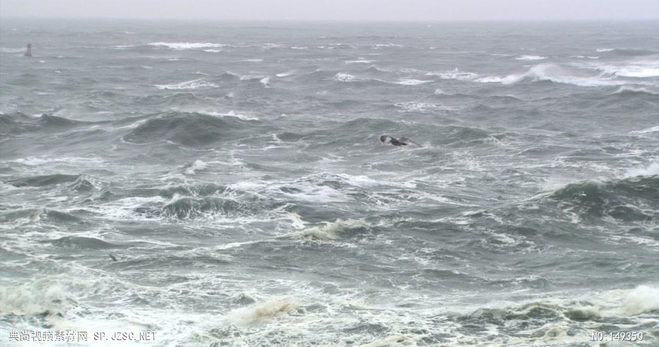 海浪20 海景海浪