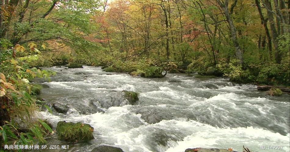 急流与河流森林涓涓流水