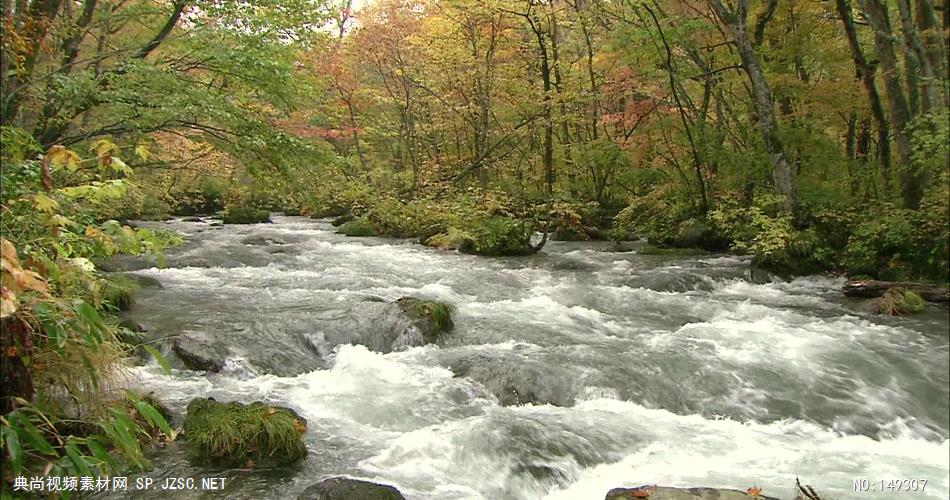 急流与河流森林涓涓流水