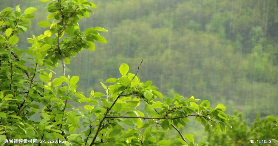 风景0922下雨 美景 自然风光