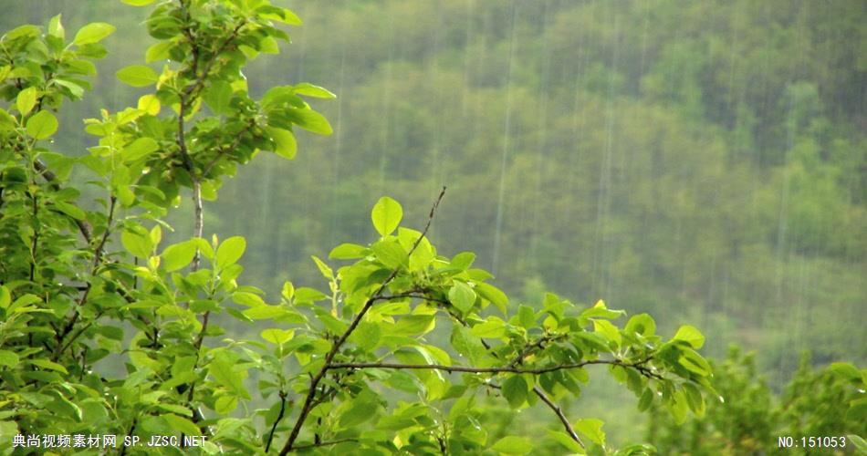 风景0922下雨 美景 自然风光