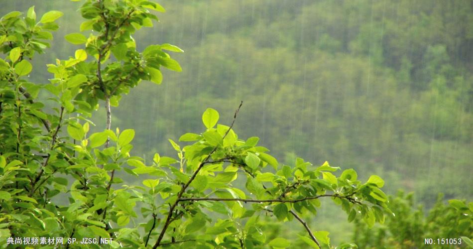 风景0922下雨 美景 自然风光