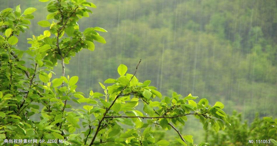 风景0922下雨 美景 自然风光