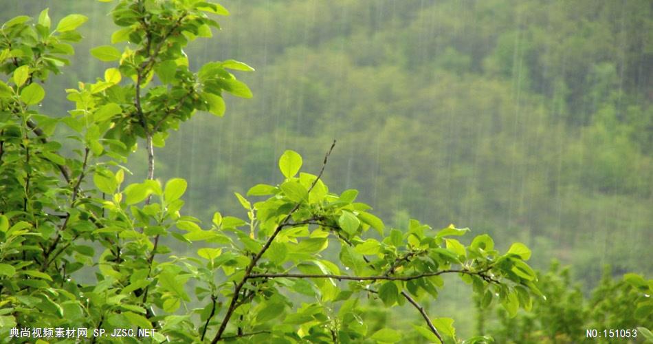 风景0922下雨 美景 自然风光