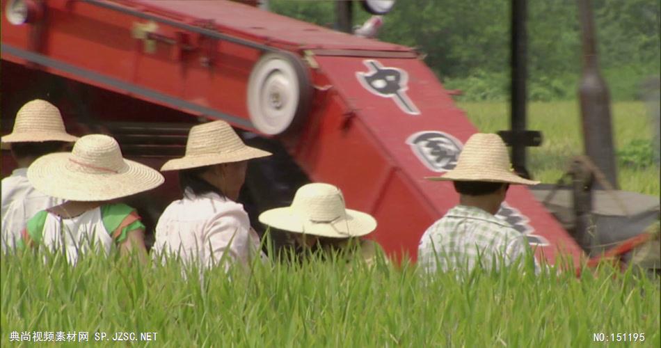 0056A-机械收割水稻2 农业类农田 田地 田野 风景 农村 农民