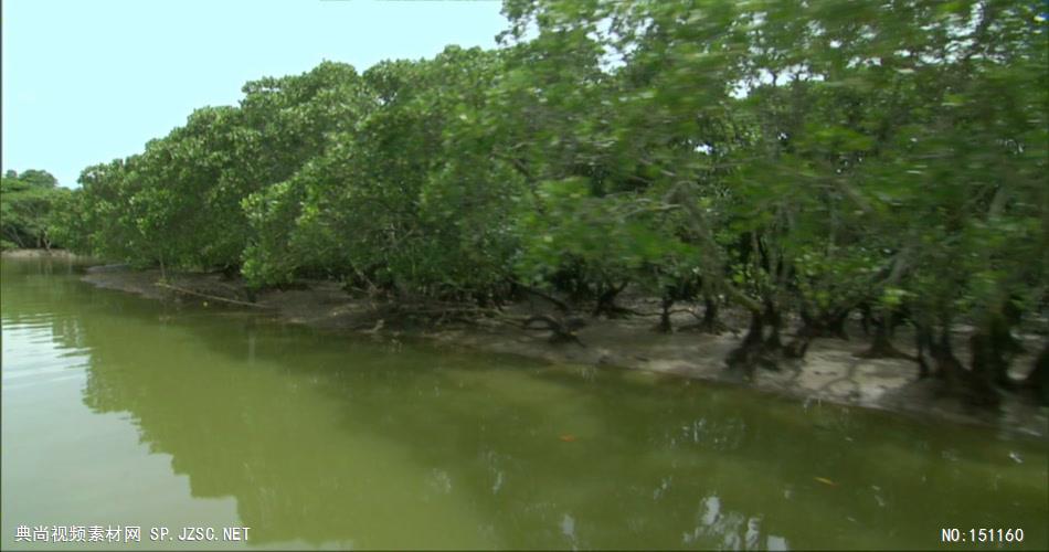 0075-植树 农业类农田 田地 田野 风景 农村 农民