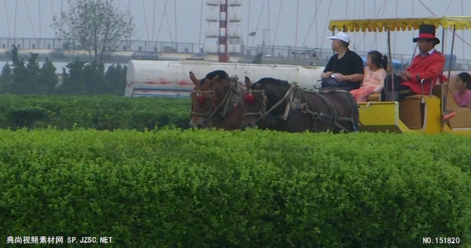 大连风景+星海广场+游客观光 精选城市高清实拍