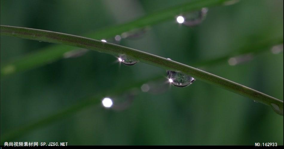 露水蒸发中国实拍视频素材 视频下载中国实拍