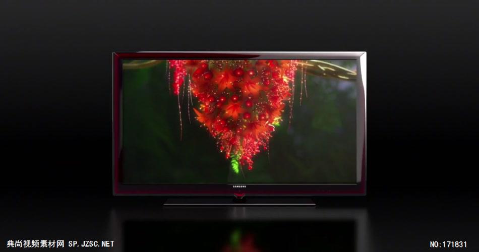 SAMSUNG LeD TV 广告蜂鸟篇.1080p 欧美高清广告视频