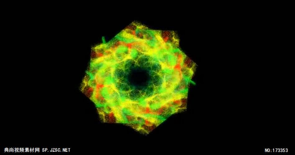 律动的粒子舞蹈粒子舞蹈粒子舞蹈粒子舞蹈