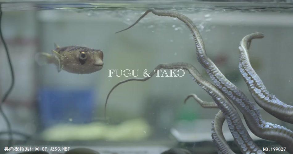 FUGU & TAKO企业事业单位公司宣传片外国外宣传片