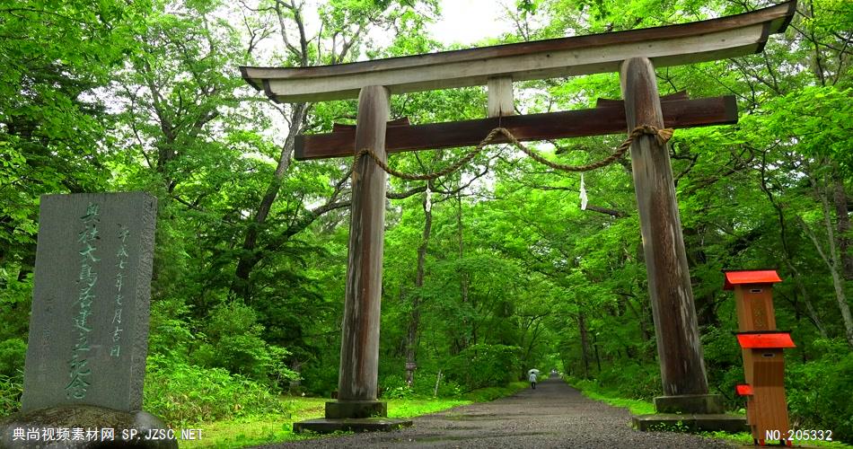 ［4K］ 野花近拍 4K片源 超高清实拍视频素材 自然风景山水花草树木瀑布超清素材