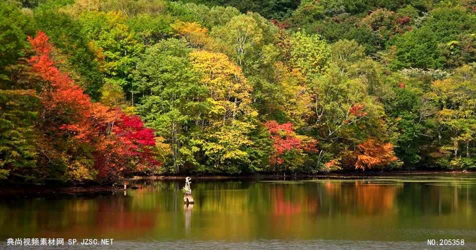 ［4K］ 深山红叶 4K片源 超高清实拍视频素材 自然风景山水花草树木瀑布超清素材