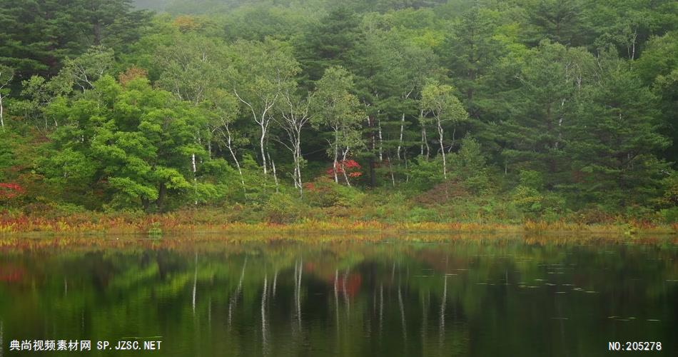 ［4K］ 红叶近摄1 4K片源 超高清实拍视频素材 自然风景山水花草树木瀑布超清素材