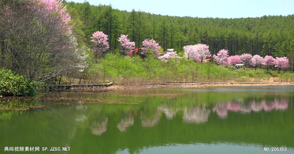 ［4K］ 山间小溪1 4K片源 超高清实拍视频素材 自然风景山水花草树木瀑布超清素材