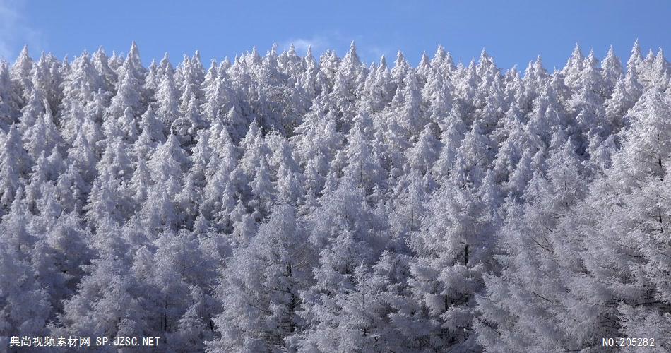 ［4K］ 高原雪景2 4K片源 超高清实拍视频素材 自然风景山水花草树木瀑布超清素材