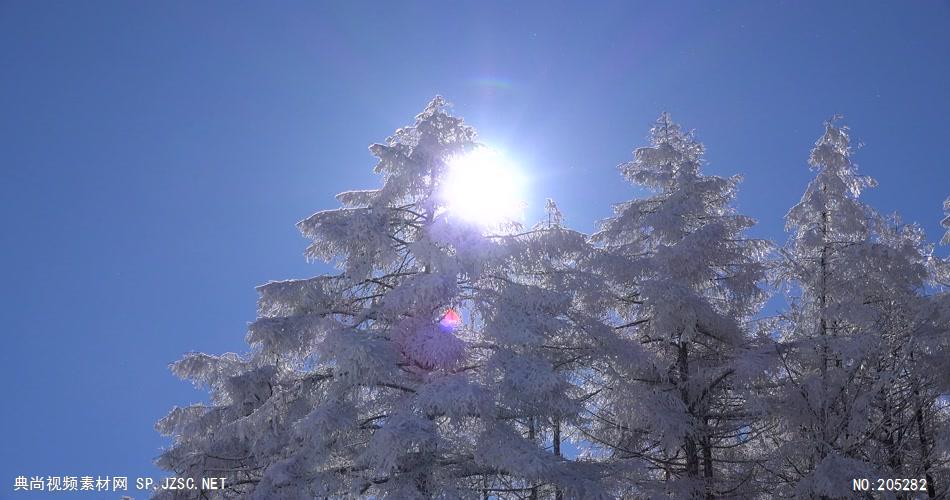 ［4K］ 高原雪景2 4K片源 超高清实拍视频素材 自然风景山水花草树木瀑布超清素材