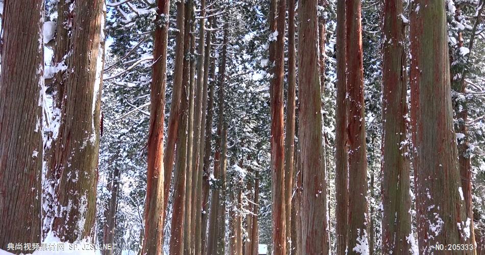 ［4K］ 雪景 4K片源 超高清实拍视频素材 自然风景山水花草树木瀑布超清素材