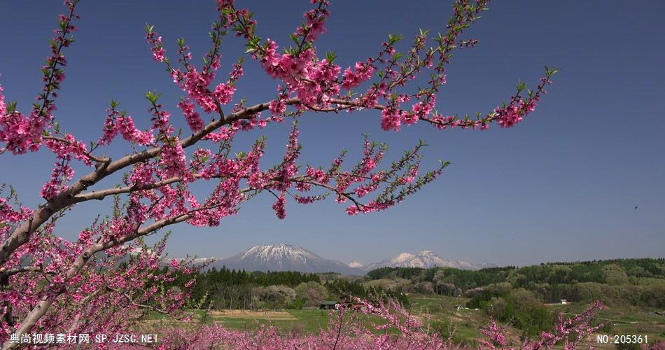 ［4K］ 原野美景 4K片源 超高清实拍视频素材 自然风景山水花草树木瀑布超清素材