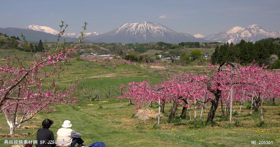 ［4K］ 原野美景 4K片源 超高清实拍视频素材 自然风景山水花草树木瀑布超清素材