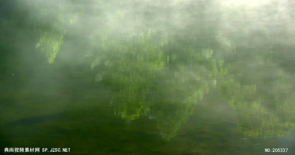 ［4K］ 夏季森林 4K片源 超高清实拍视频素材 自然风景山水花草树木瀑布超清素材