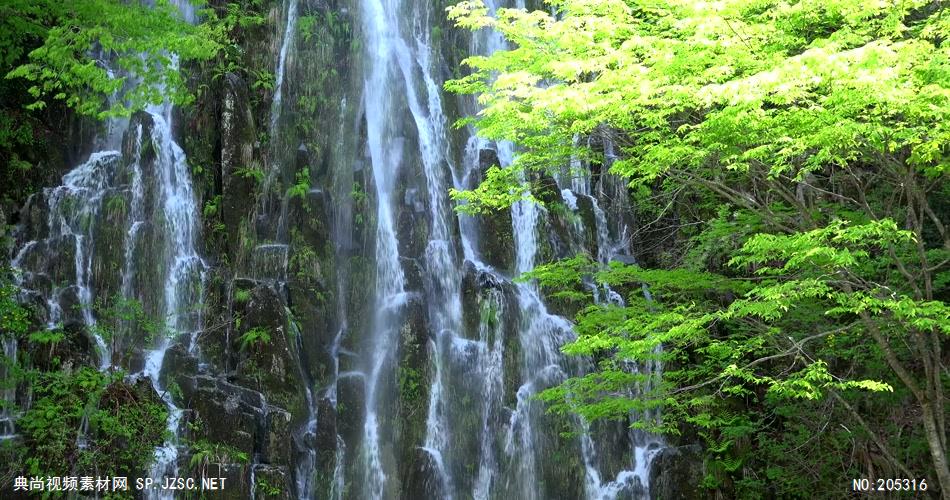 ［4K］ 绿林 4K片源 超高清实拍视频素材 自然风景山水花草树木瀑布超清素材