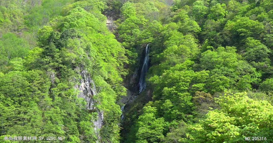 ［4K］ 绿林 4K片源 超高清实拍视频素材 自然风景山水花草树木瀑布超清素材