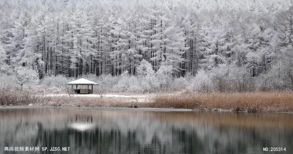 ［4K］ 迷雾美丽的冬季湖 4K片源 超高清实拍视频素材 自然风景山水花草树木瀑布超清素材