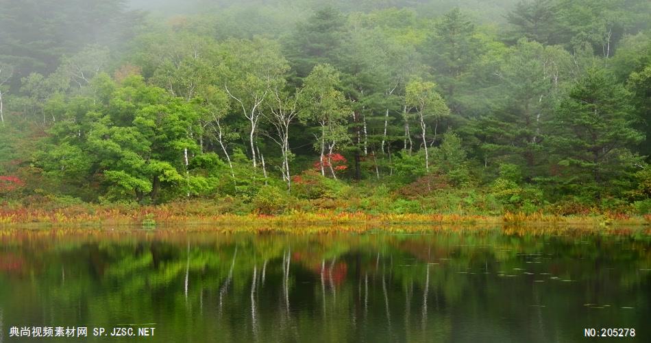 ［4K］ 红叶近摄1 4K片源 超高清实拍视频素材 自然风景山水花草树木瀑布超清素材