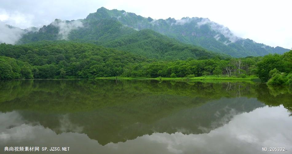 ［4K］ 野花近拍 4K片源 超高清实拍视频素材 自然风景山水花草树木瀑布超清素材