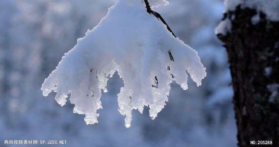 ［4K］ 高原雪景1 4K片源 超高清实拍视频素材 自然风景山水花草树木瀑布超清素材