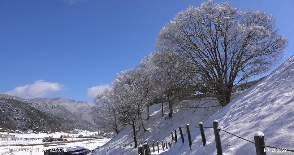 ［4K］ 雪地花卉 4K片源 超高清实拍视频素材 自然风景山水花草树木瀑布超清素材