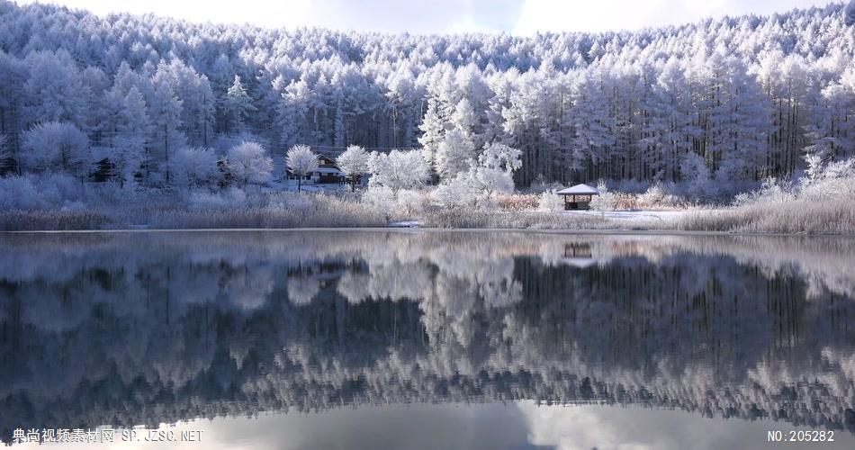 ［4K］ 高原雪景2 4K片源 超高清实拍视频素材 自然风景山水花草树木瀑布超清素材