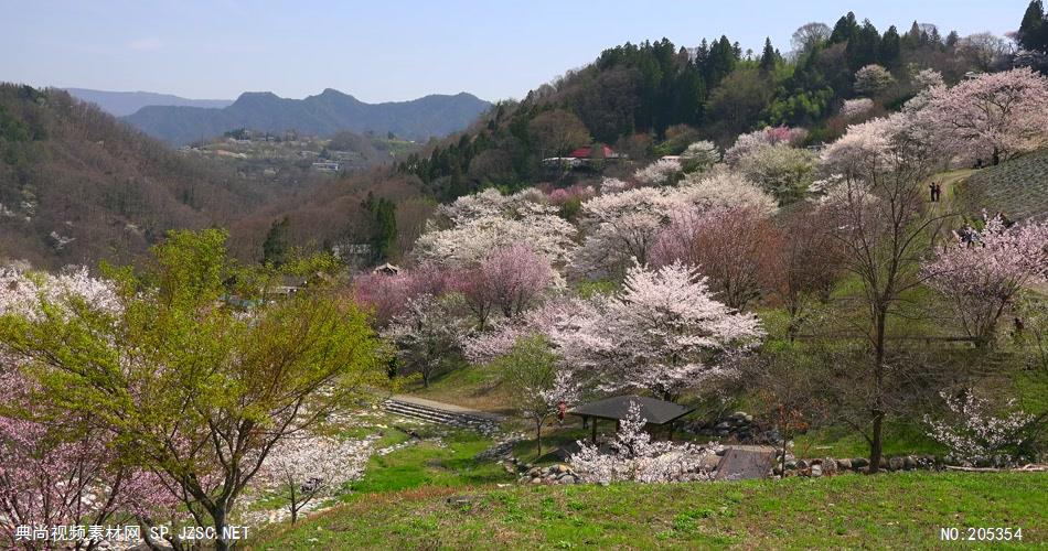 ［4K］ 山间樱花 4K片源 超高清实拍视频素材 自然风景山水花草树木瀑布超清素材