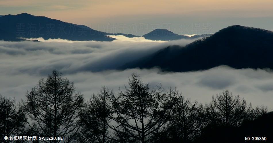 ［4K］ 山中仙影雾气 4K片源 超高清实拍视频素材 自然风景山水花草树木瀑布超清素材