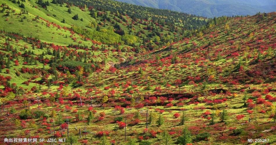 ［4K］ 高原秋色 4K片源 超高清实拍视频素材 自然风景山水花草树木瀑布超清素材