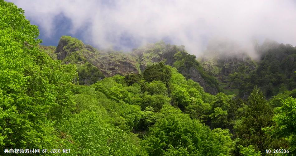 ［4K］ 仙境 4K片源 超高清实拍视频素材 自然风景山水花草树木瀑布超清素材