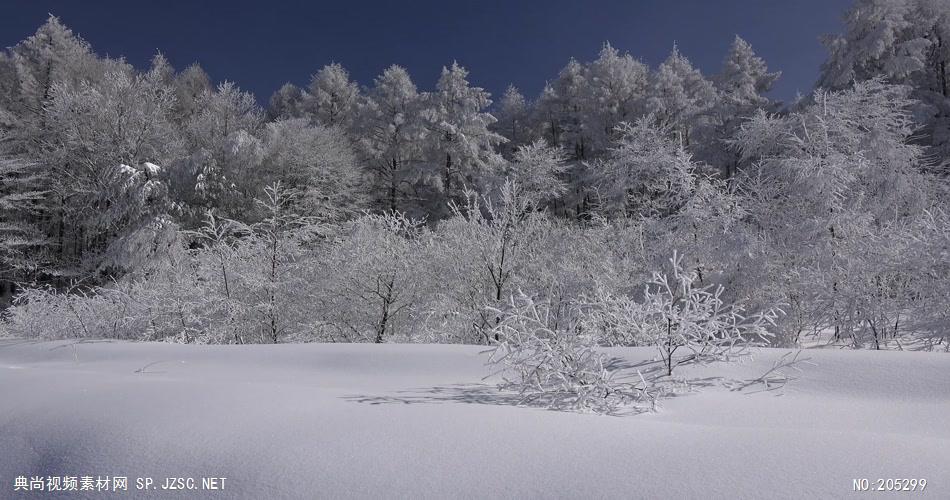 ［4K］ 冬季高原雪景 4K片源 超高清实拍视频素材 自然风景山水花草树木瀑布超清素材